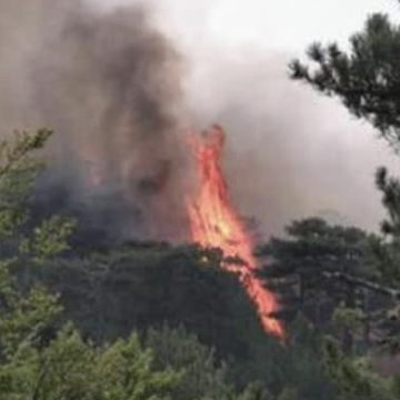 Incendi: Russo (Flai Cgil Sicilia), squadre antincendio al lavoro con pochi mezzi e personale.