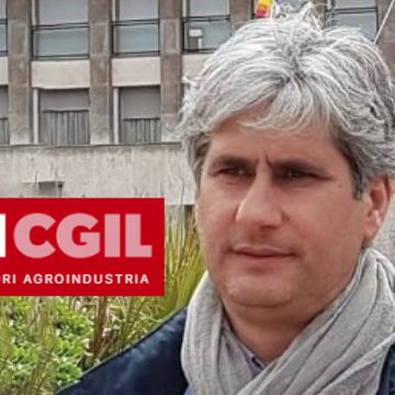 Forestali: la denuncia della Flai Cgil, “Attività importanti date in appalto all’esterno e in assenza dei piani di gestione” Russo: “La risposta al territorio è la riforma del sistema forestale non la sua privatizzazione”
