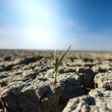 L02.1 – Calamità naturali – ciclone Harry e frana di Niscemi – EBAS – Prestazione per i lavoratori